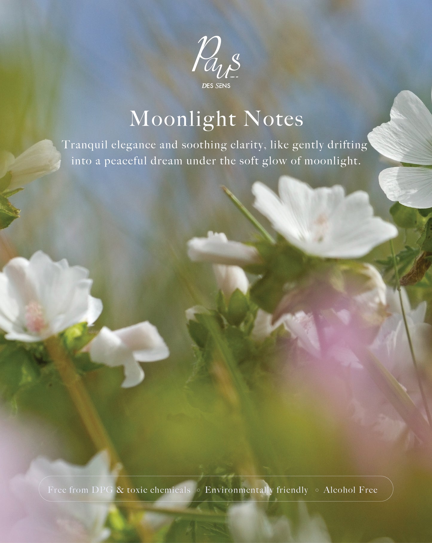 Moonlight
